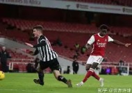 M6体育下载-富勒姆主场战平纽卡斯尔，争夺保级越加激烈的简单介绍