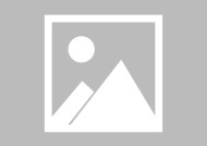 米6体育APP-雄鹿队球员喜获新合同，球迷纷纷祝贺