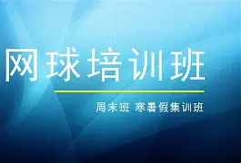连锁篮球培训中心开启网络直播课程，网友互动火爆的简单介绍